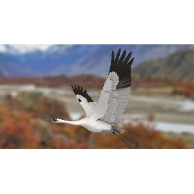 3D model St Paul's Cathedral